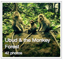 Foto's FLICKR Ubud & the Monkey Forest