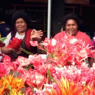 Bula bula in Fiji
